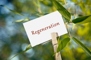 Regeneration