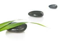 Bamboo leaves and pebbles